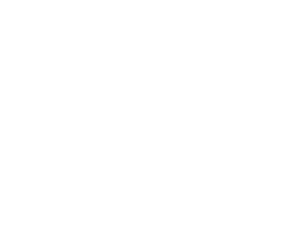 Min Stora Dag